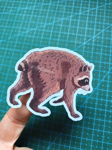 Jimothy raccoon vinyl - jimothy,