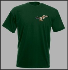 FALCONRY BIRD OF PREY T SHIRT