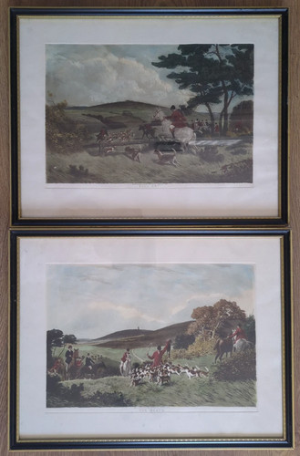 1860 framed fox - 1860,