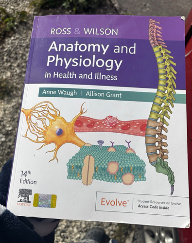 Ross wilson anatomy - wilson,