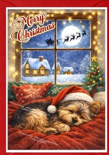 Yorkshire Terrier, Yorkie Dog