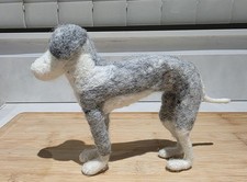 Greyhound/Whippet/Lurcher