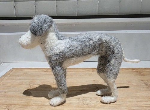 Greyhound/Whippet/Lurcher