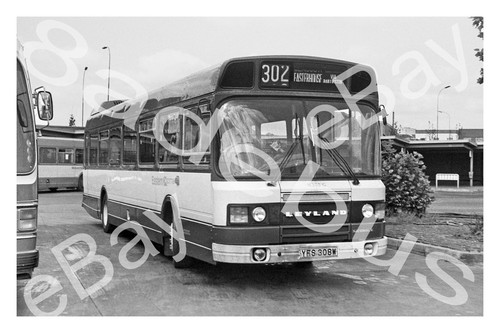 Bus photograph eastern - photograph,