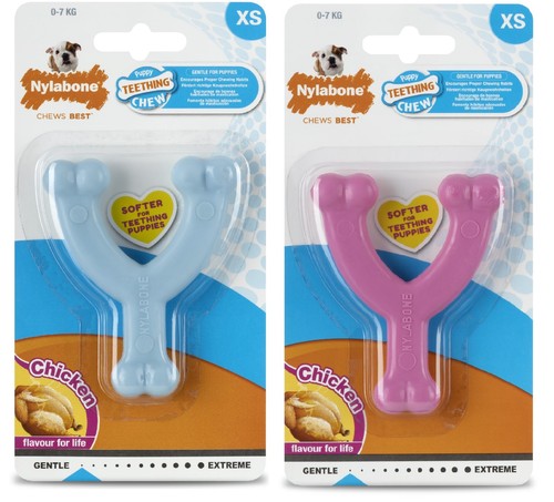 Nylabone puppy dog chew - puppy,
