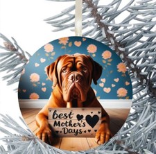 Dogue De Bordeaux Dog Hanging