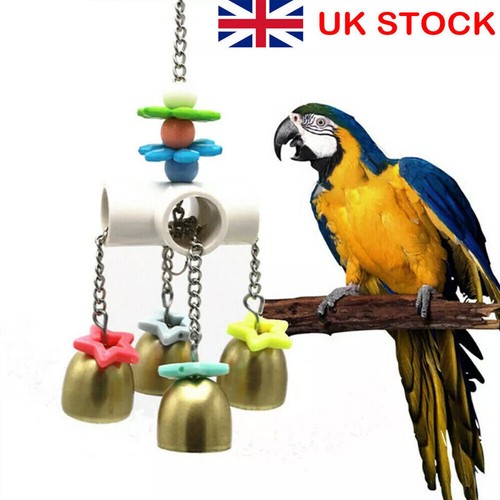 Bird cage biting - bird,