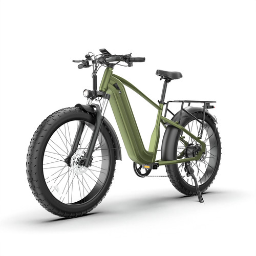 Fat electric bike - fat,