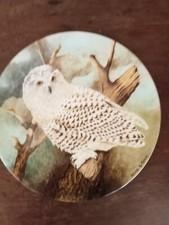 Coalport - Snowy Owl Collectors Plate - 8.25" Coalport