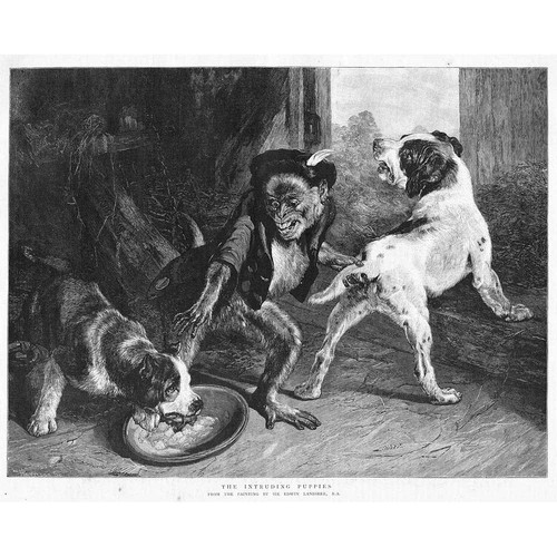 Edwin landseer the intruding - landseer,