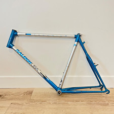 Raleigh Technium Chill Bike