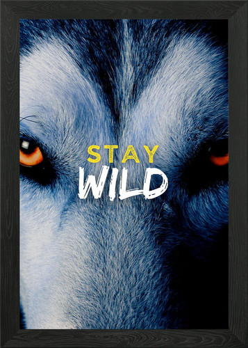 Stay wild wolf eyes - wild,