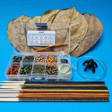 Food Lot #5 Shrimp / Shrimp