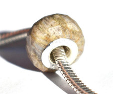 Fossil coral faceted - fossil,