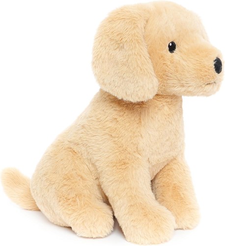 Labrador golden retriever - labrador,