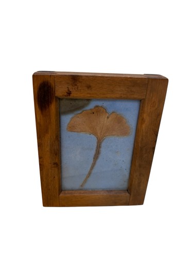 Fabulous small victorian - fabulous,