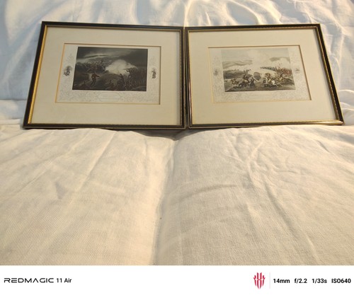 Pair hand colored - pair, hand-colored