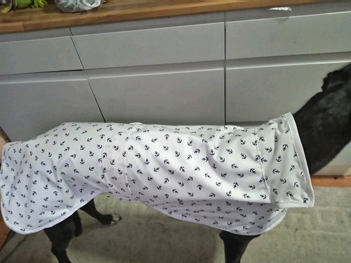 Lightweight nautical greyhound - nautical,