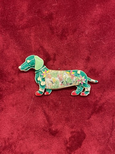 Fun sausage dog dachshund