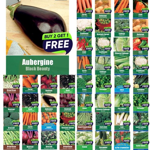 Vegetable seeds herb - herb,