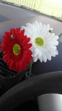 2 x Gerbera Daisy Dashboard