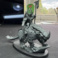 Games Workshop Age of Sigmar Chaos Lord On Karkadrak Miniature