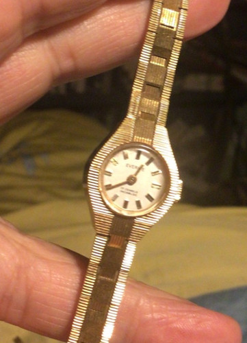 Everite ladies gold plated - , 17