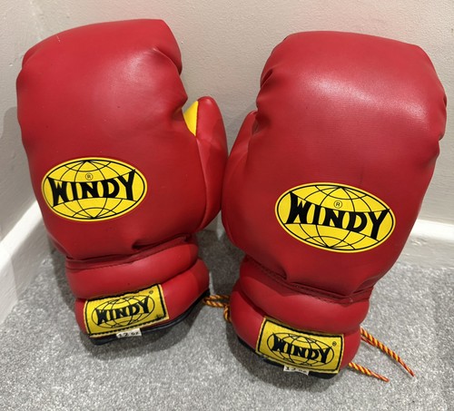 Windy boxing gloves - 12,