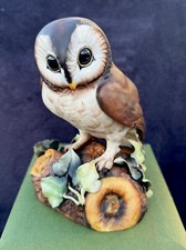 Boxed Royal Crown Derby Brown Owl XL Signed H. Dudley Paperweight