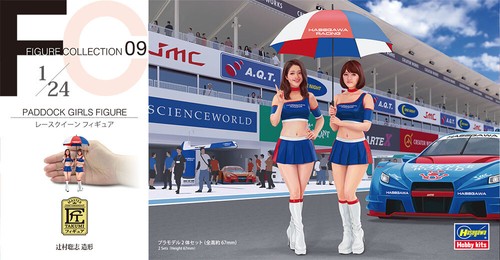 Scale hasegawa paddock - scale,