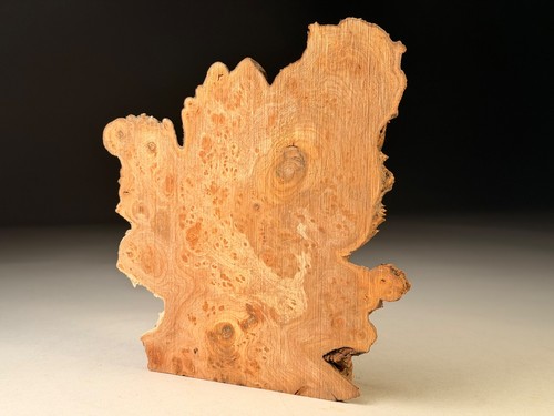 Spalted burr elm live - burr, edge