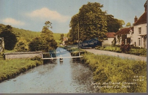 Beck hall stream - beck,