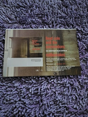 Tpgm48 advert 5x8 lloyd cole - lloyd, &