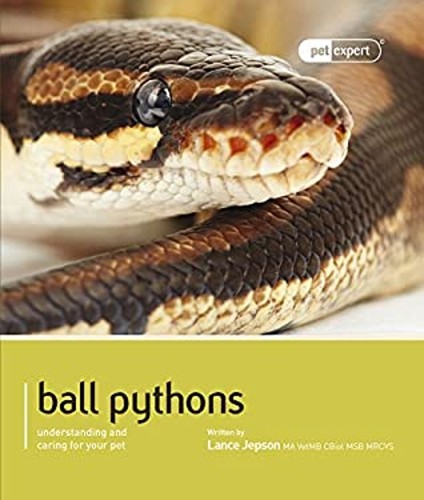Ball python royal pet - python,