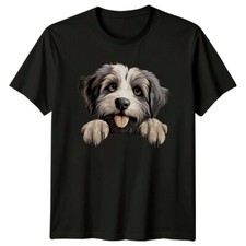 Cute dog breed - dog, paws