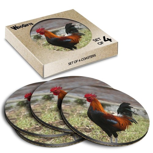 Round mdf coaster rhode - coaster,