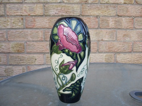 Moorcroft convolvulus pattern - convolvulus,