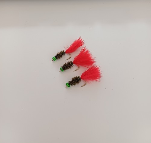 Mullet bach green headed - 3,