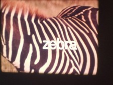 ZEBRA 1972 16MM COLOUR SOUND