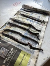 Freshly Frozen Black Lug x10