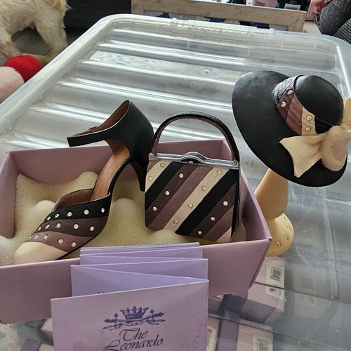 The shoe fits leonardo - shoe,