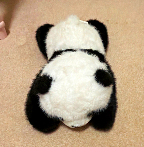Black white panda - &,