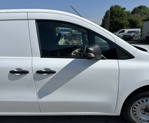Renault kangoo tech mk3 - kangoo, door