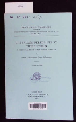 Greenland peregrines their - peregrines,