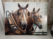 16x20 Color Print-Old