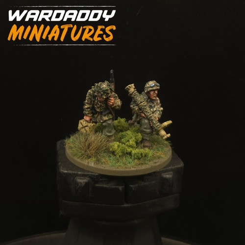 Pro painted 28mm ww2 - painted, bolt