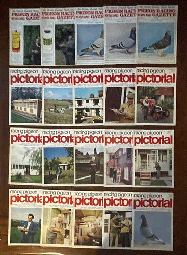 Racing pigeon pictorial - racing, &