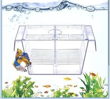 Fish breeding box aquarium - fish,