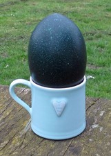 Large Blown Emu Egg