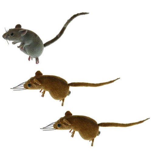 Pieces realistic mouse - pieces,